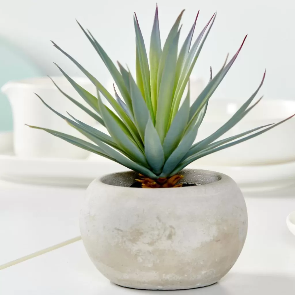 Flash Sale CEMENT Planta Crasa Art En Tarro Gris Plantas Artificiales