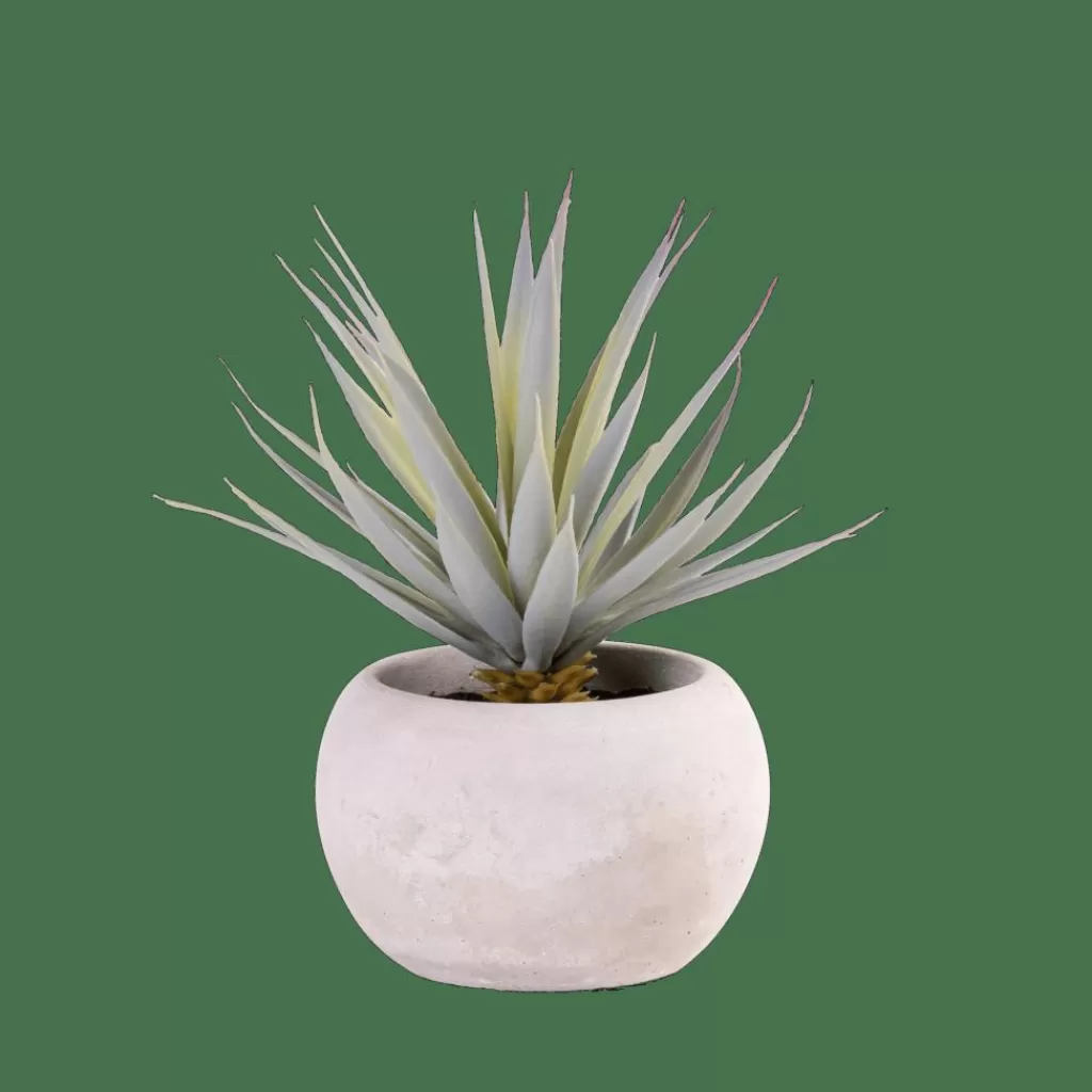 Flash Sale CEMENT Planta Crasa Art En Tarro Gris Plantas Artificiales