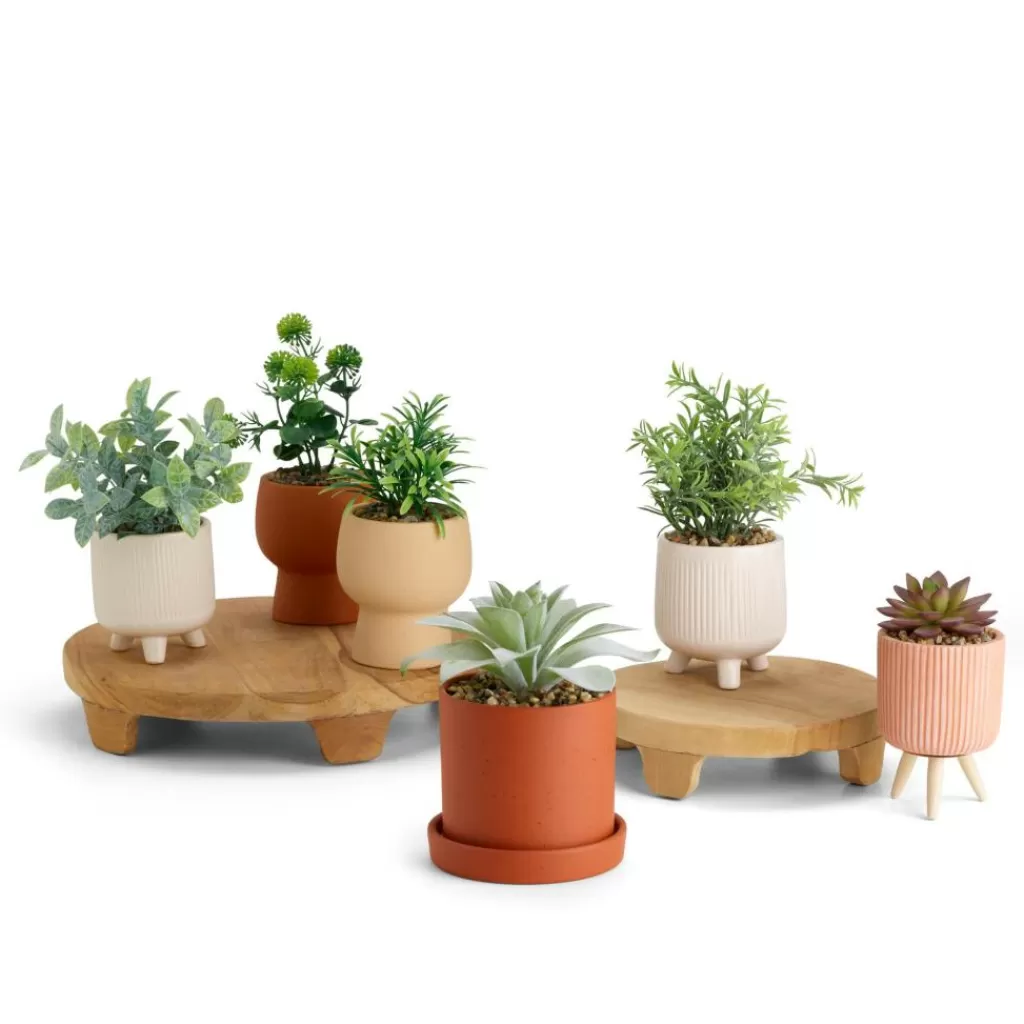Flash Sale CERA Planta Artificial Varios Colores Plantas Artificiales