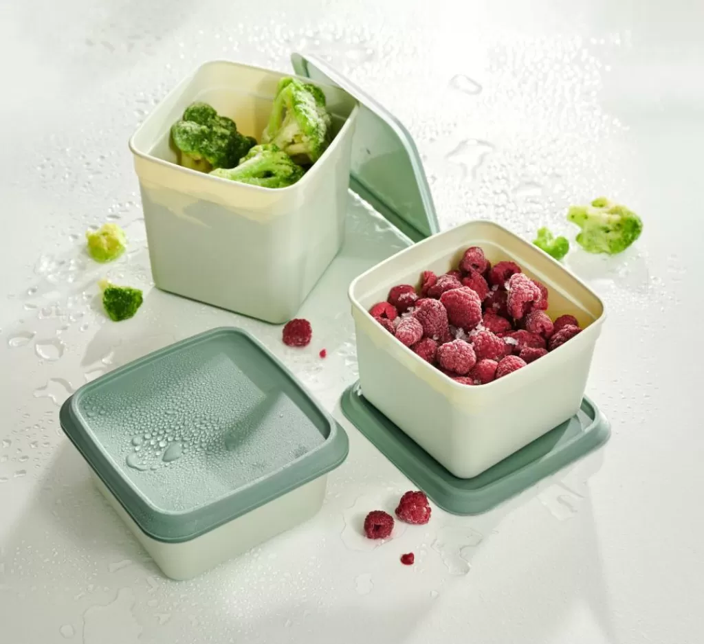 Shop FREEZER Cajas Congeladoras Juego De 10 Menta, Verde Oscuro Taperes