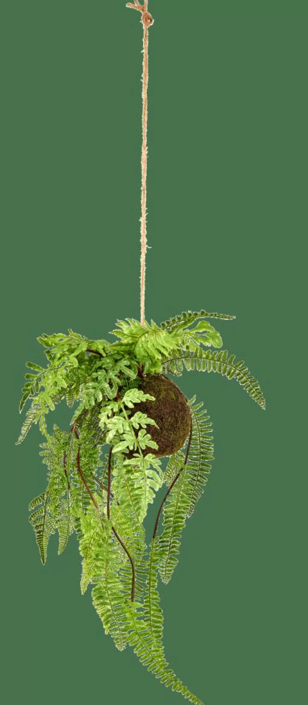 Clearance GREENERY Macetero Colgante Con Helecho Verde Plantas Artificiales