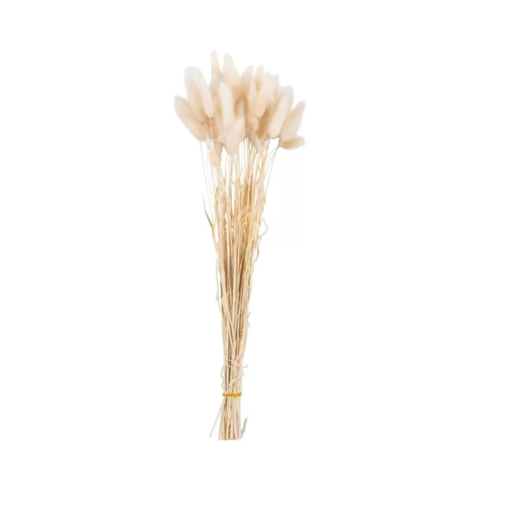 Cheap LAGURUS Cola De Liebre Beis Flores Artificiales