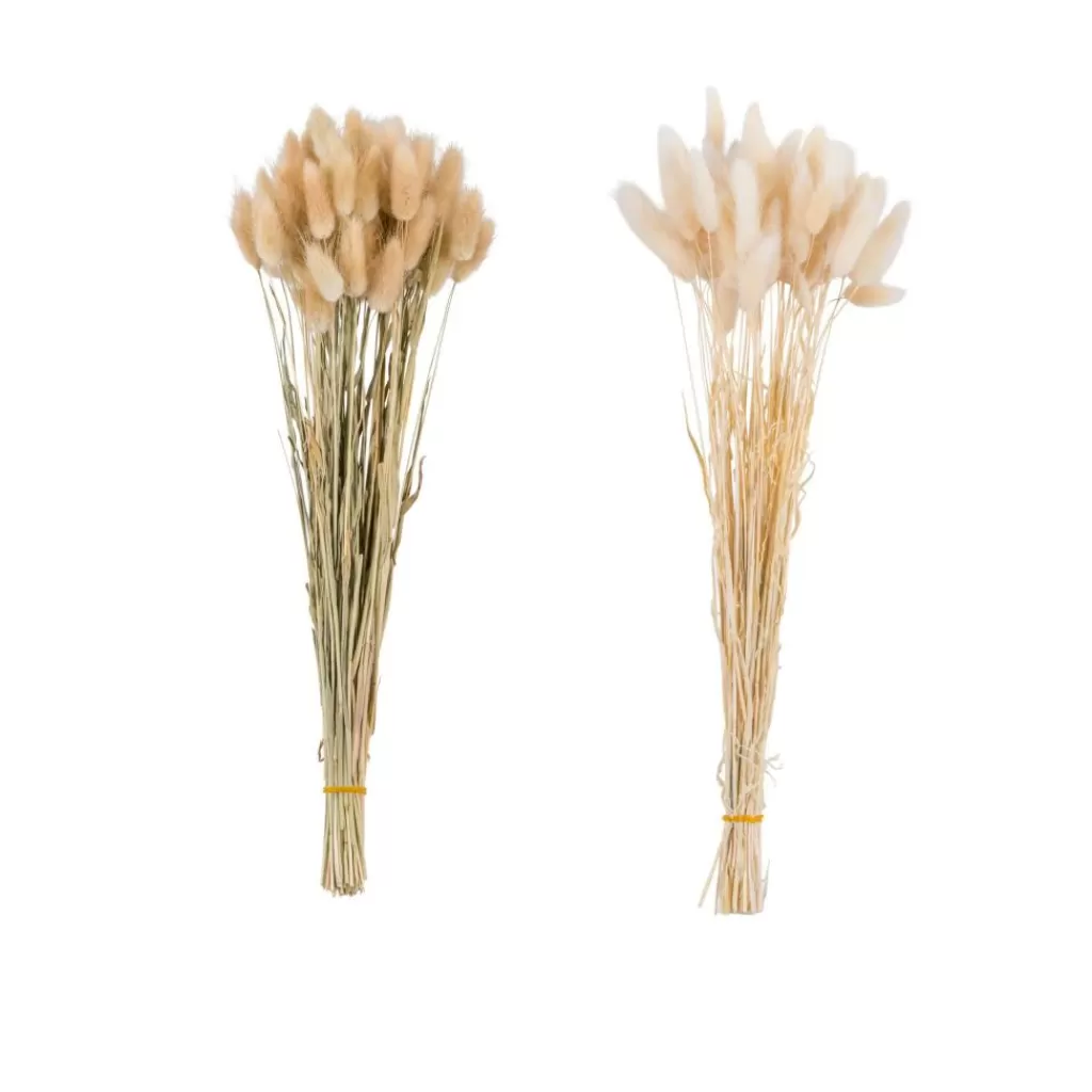 Cheap LAGURUS Cola De Liebre Beis Flores Artificiales