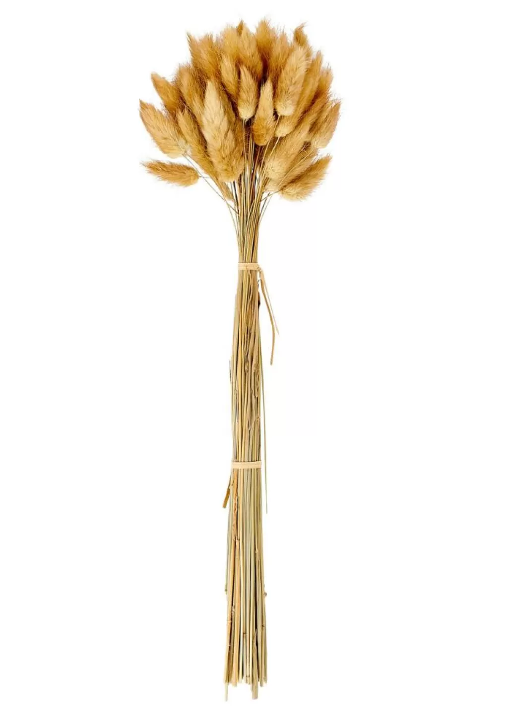 Online LAGURUS Cola De Liebre Marrón Flores Artificiales