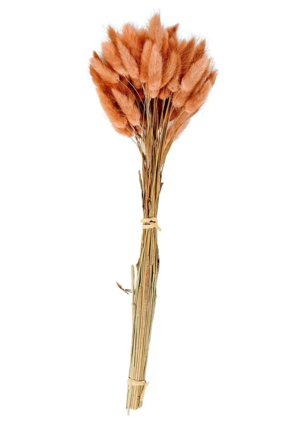 Hot LAGURUS Cola De Liebre Rosa Flores Artificiales
