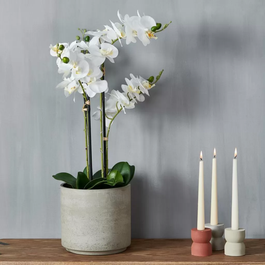 Cheap ORCHID Orquídea En Maceta Blanco Plantas Artificiales