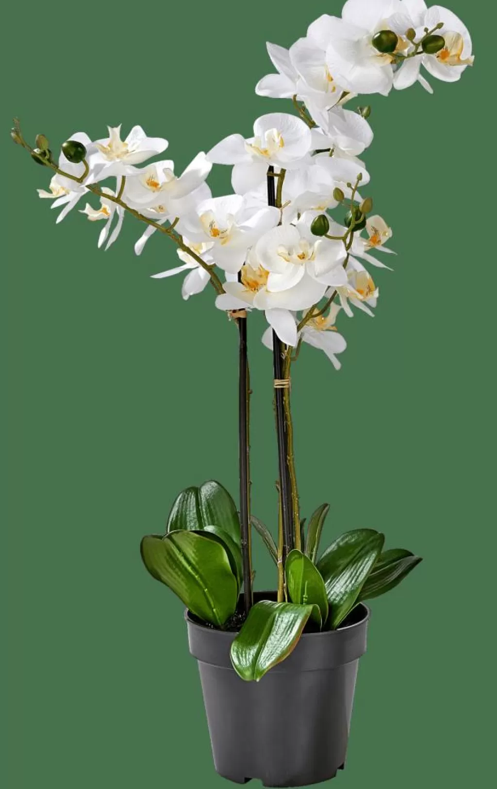 Cheap ORCHID Orquídea En Maceta Blanco Plantas Artificiales