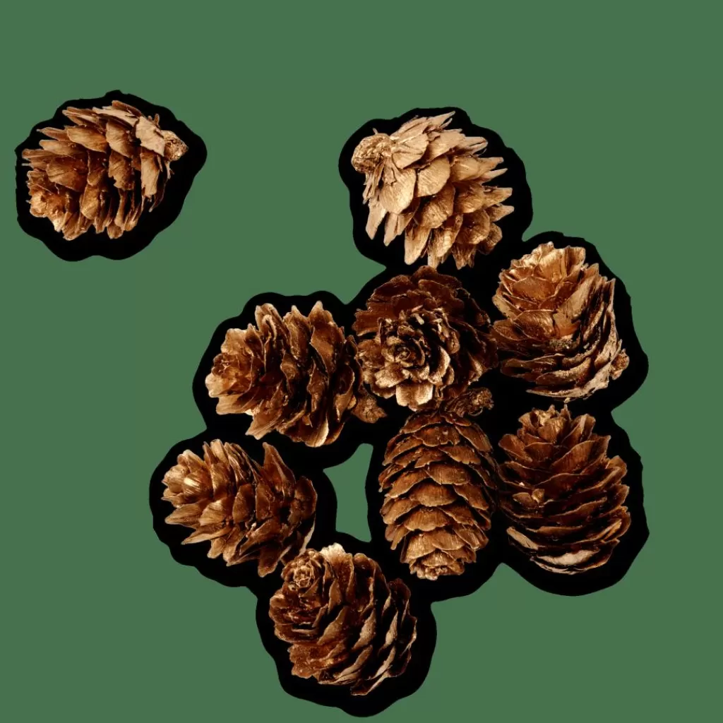 Shop PINECONE Decoración Para Esparcir Dorado Figuras Decorativas