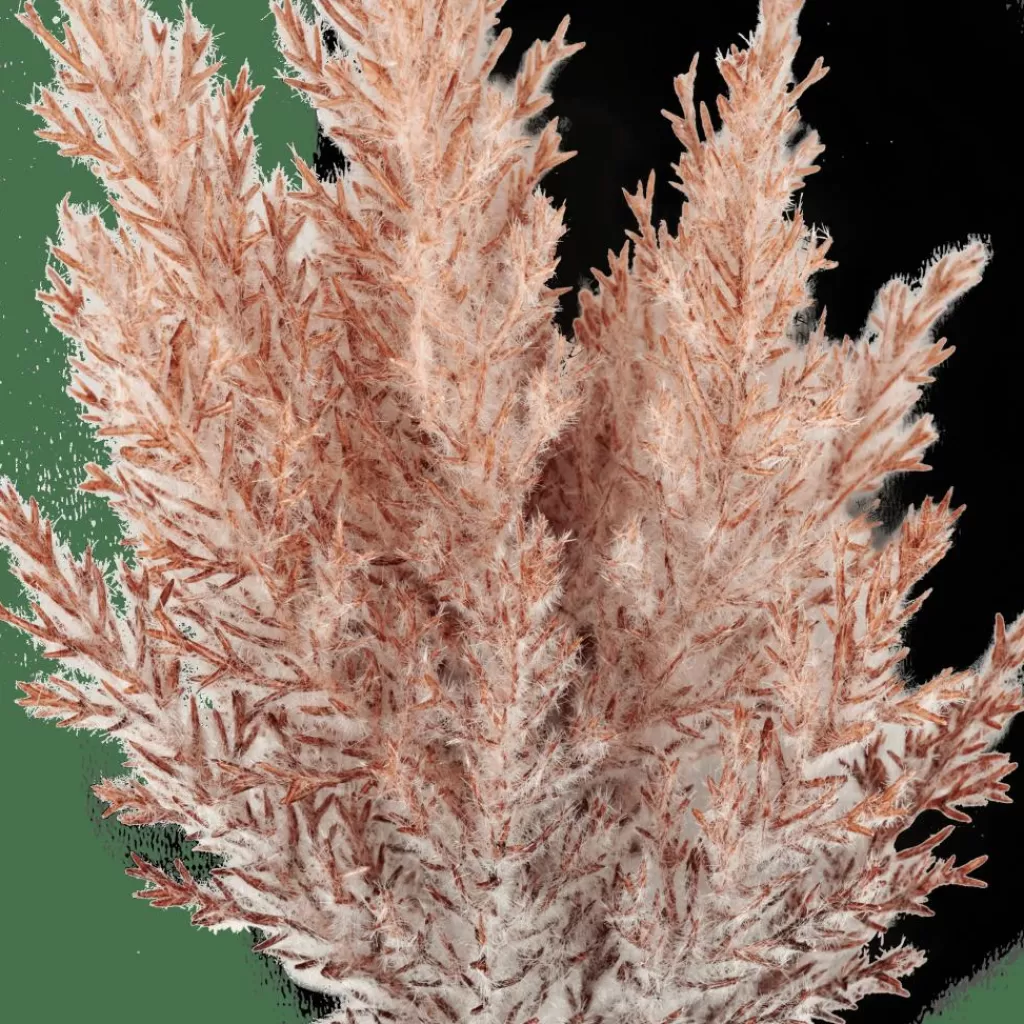 Store PLUME Tallo De Pluma Naranja Ramos Artificiales