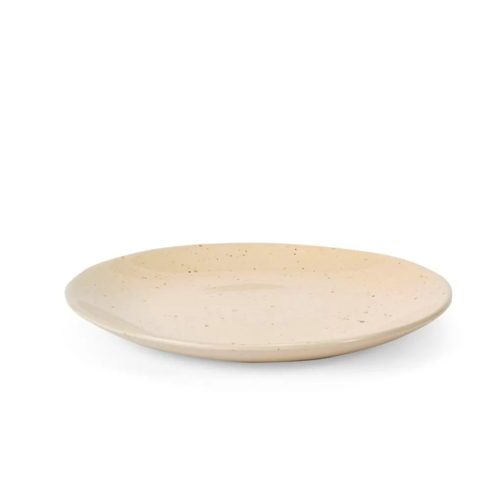 New TERRA Plato Beis Platos