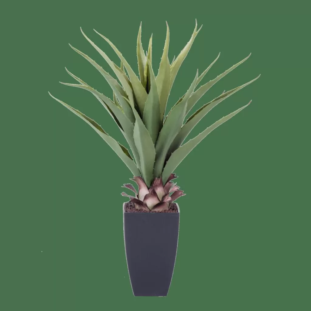 Clearance VERA Planta Aloë Vera Verde Plantas Artificiales